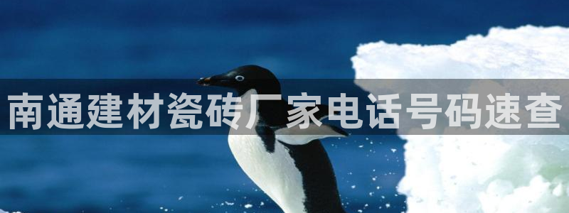 杏鑫平台登录地址