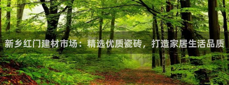 杏鑫平台代理注册流程及费用