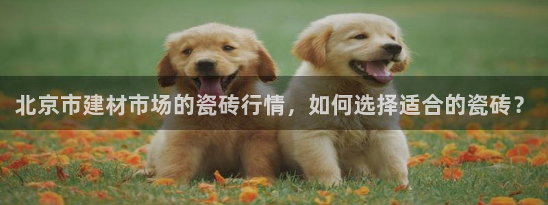 杏鑫平台登录地址查询