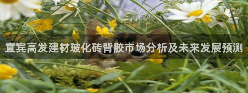 杏鑫平台念7O777