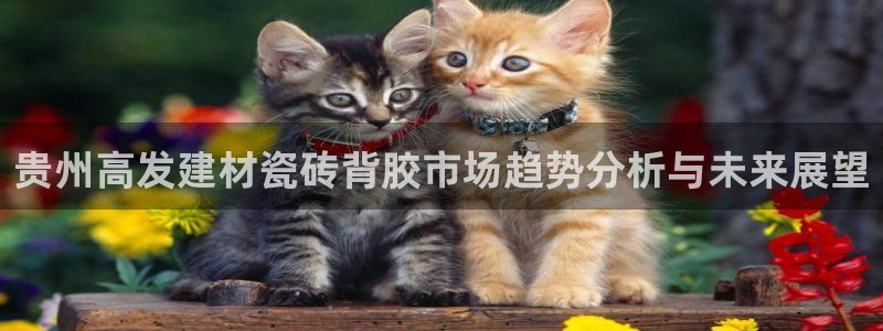 杏鑫娱乐开发团队