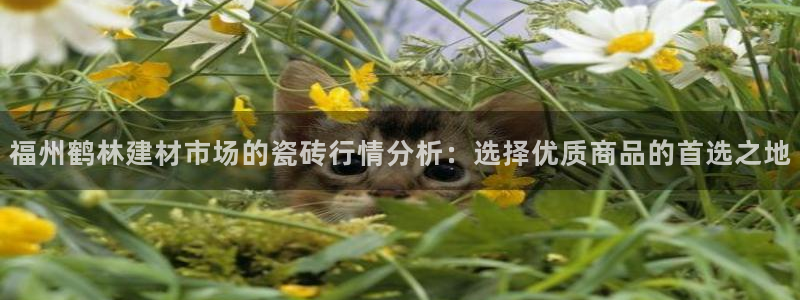 杏鑫注册登录平台