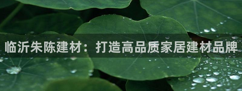 杏鑫平台是黑平台吗