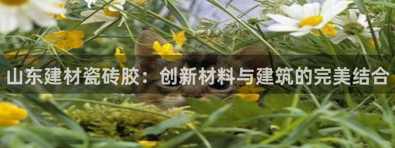 杏鑫登录注册测速