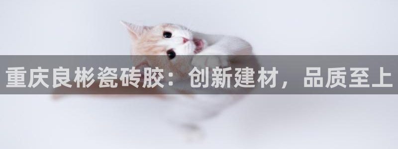 杏鑫娱乐是真的吗还是假的