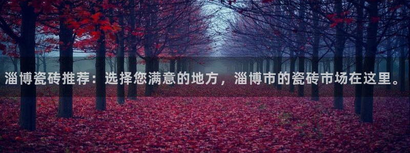 杏鑫平台是黑平台吗