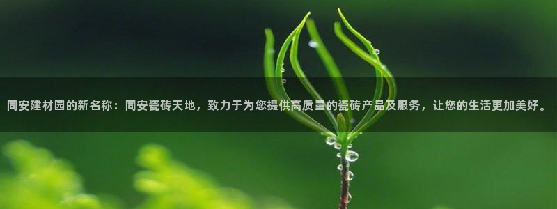 杏鑫平台登录地址在哪