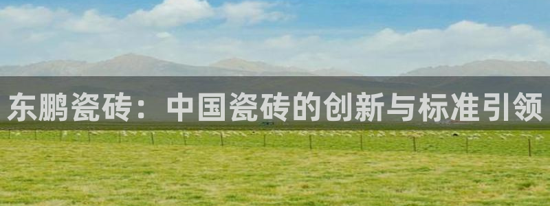 杏鑫注册登录代理公司
