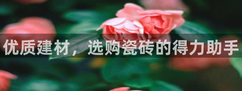 杏鑫官网最新信息