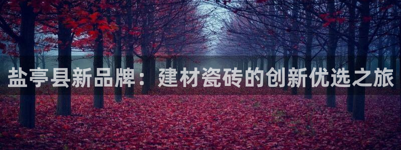 杏鑫平台是黑平台吗是真的吗