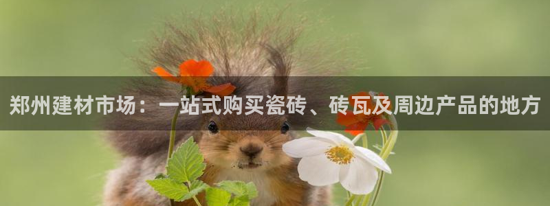 杏鑫官方平台怎么样啊知乎