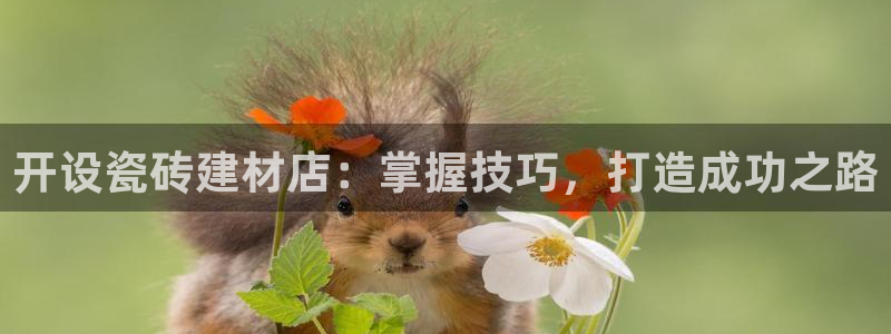 杏鑫娱乐怎么样