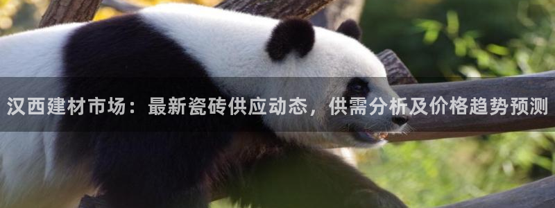 杏鑫平台代理注册