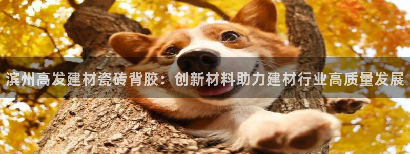 杏鑫平台怎么样黑钱吗知乎