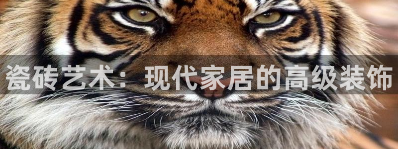 杏鑫平台招商电话号码是多少