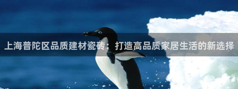 杏鑫娱乐官网下载