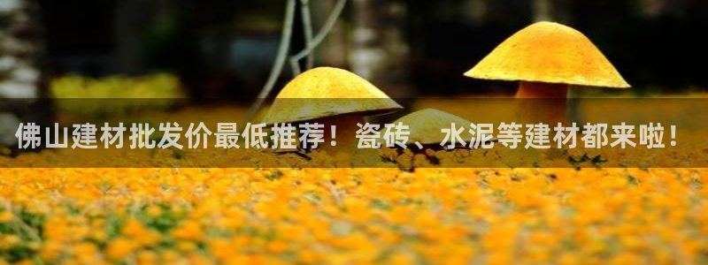 杏鑫平台下载安装