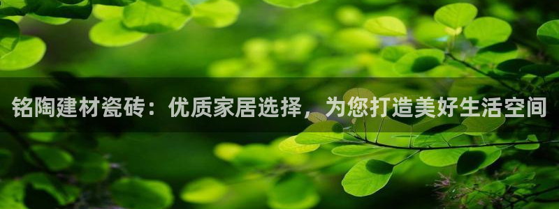 杏鑫平台注册入口在哪