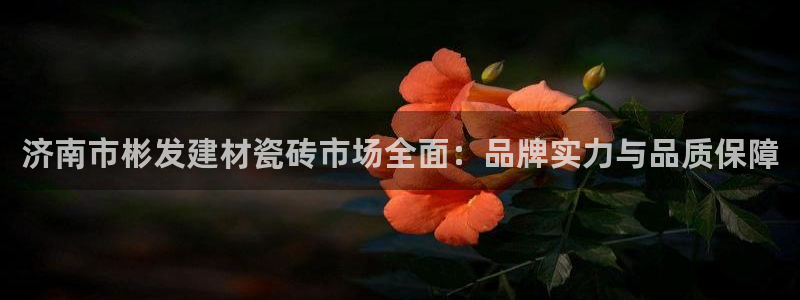 杏鑫平台招商怎么样可靠吗