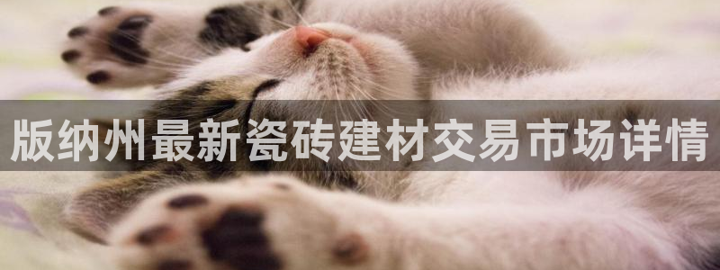 杏鑫娱乐负责人